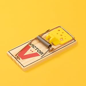 Victor Wide PEdal Mouse Trap