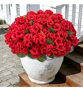 Roberly 6 Pcs Artificial Flowers for Outdoors, Red Fake Geranium Flowers UV Resistant Realistic S...