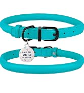 dog collar