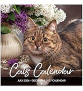 Calendar 2026-2027 - Wall Calendar 2026-2027, Jul. 2026 - Dec. 2027, 12" x 24" (Open), 18 Months ...