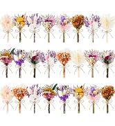 LawnIdyll 12/24 PCS Charming Dried Flowers Bouquet for Vase Various Dried Wildflowers with Stems ...