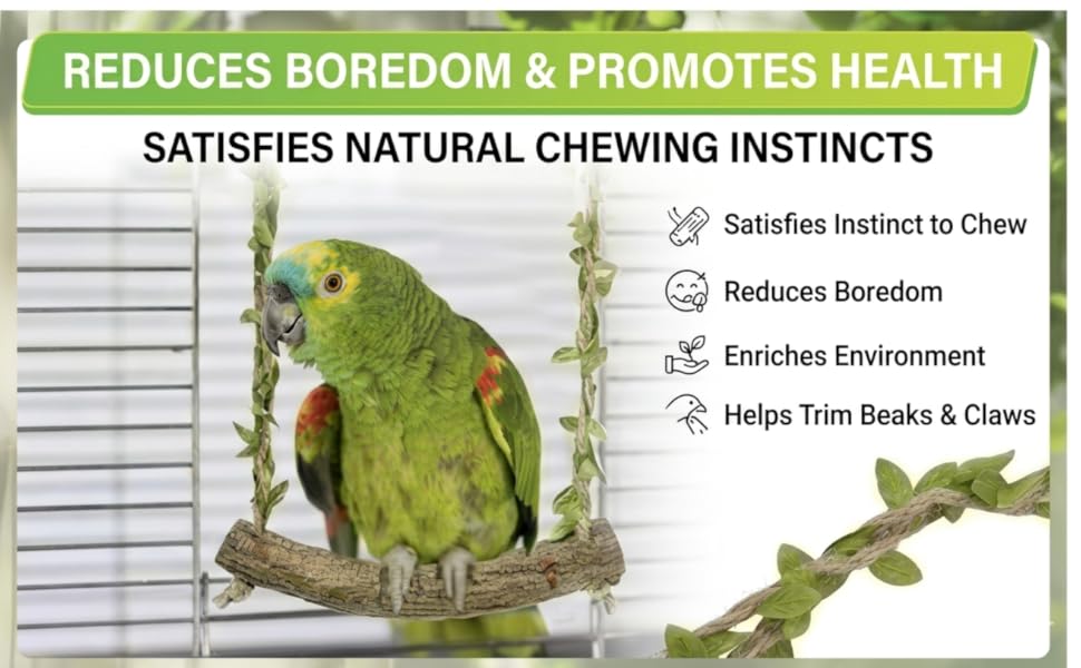 bird swings