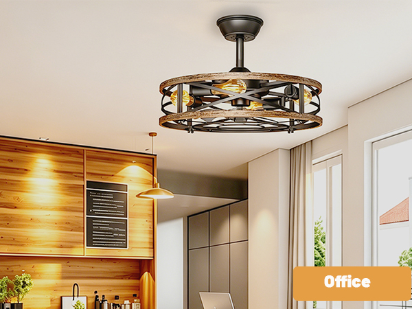 caged ceiling fan for office