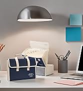 Canvas Accordion File Organizer