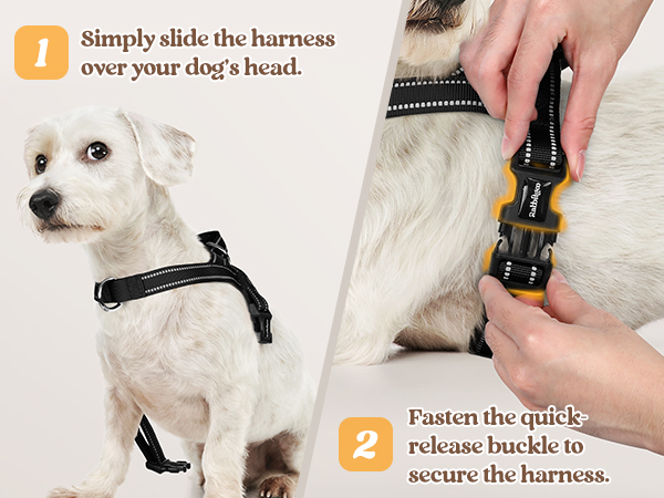dog harness
