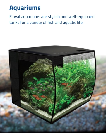 Fluval_Module_4