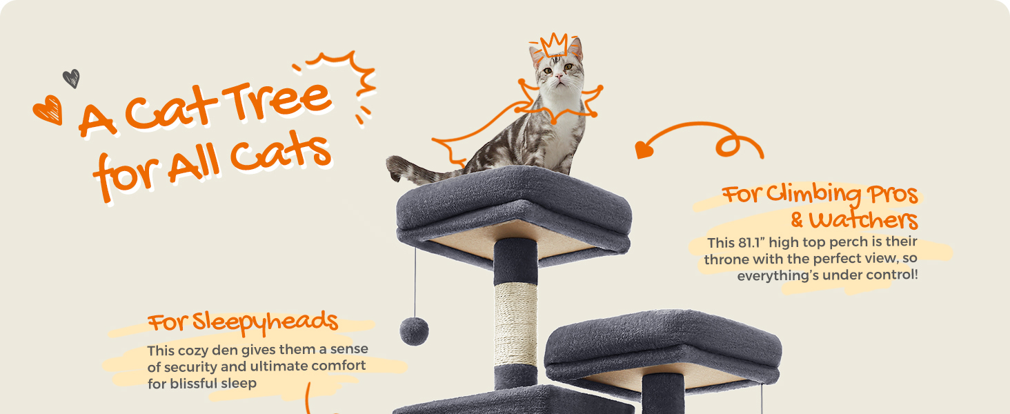 A Cat Tree for All Cats