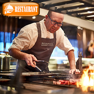 meat thermometer instant read