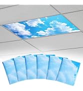 Biubee Fluorescent Light Covers with 10 Strong Magnets - 6 Pack Magnetic Light Covers Filter for ...