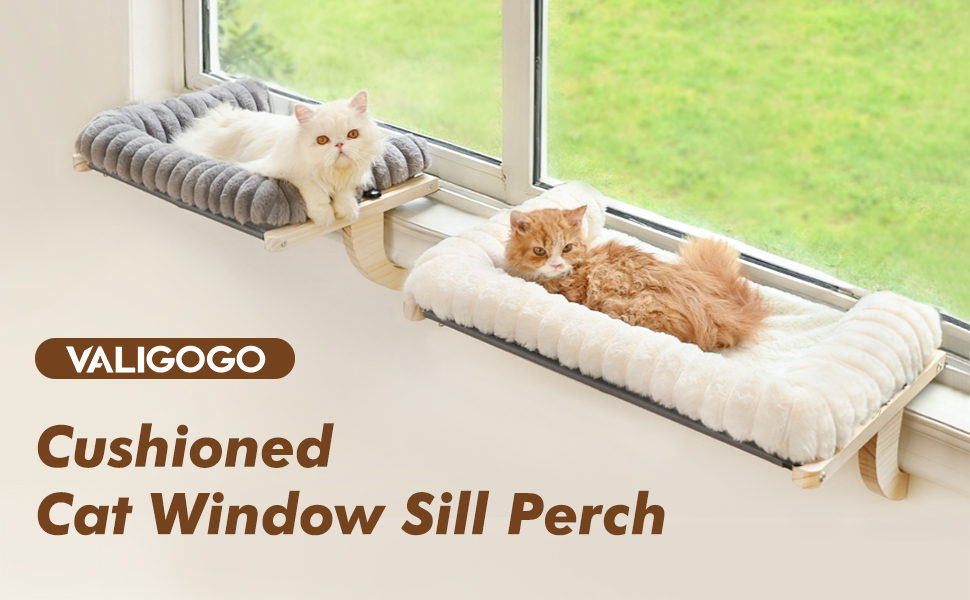 cat window perch