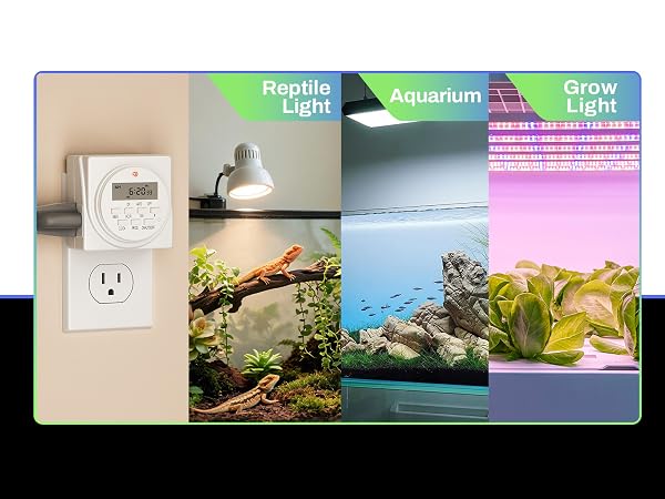 timer plug outlet