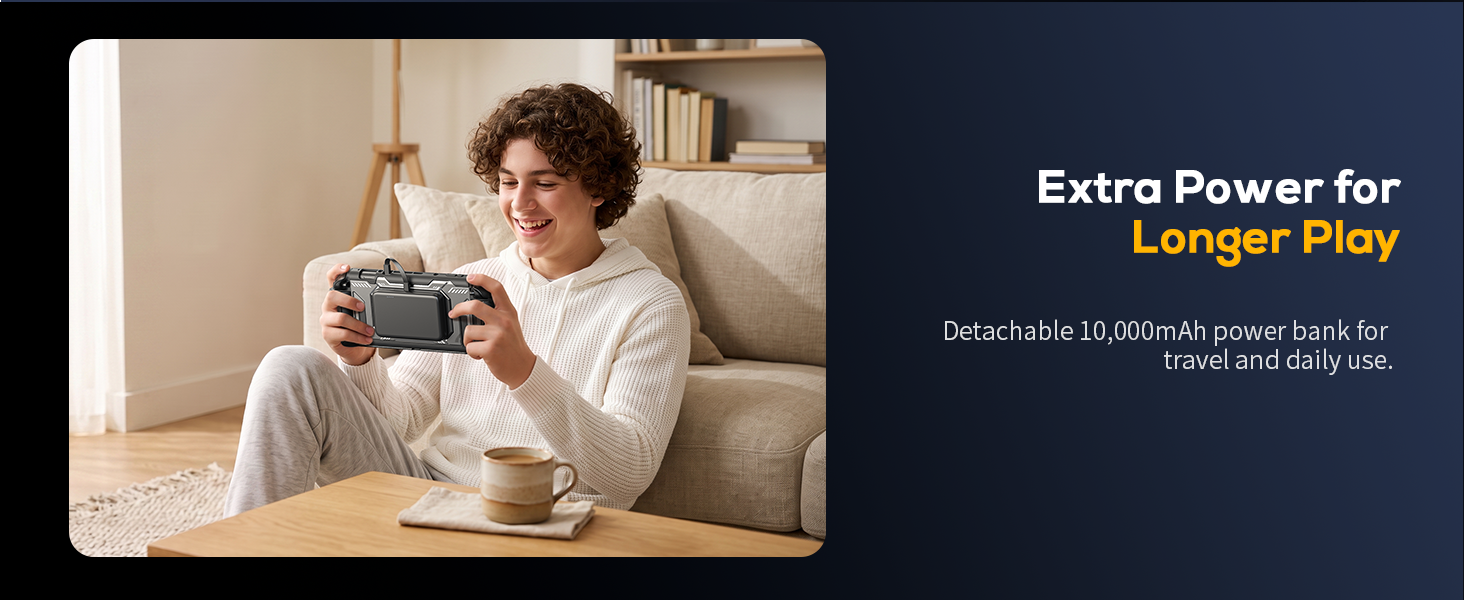 switch 2 grip