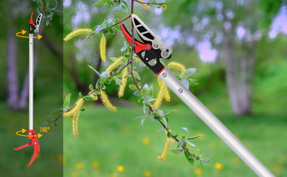 Cut and Hold Pruners