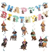 Dachshund Birthday Party Decorations - Including Dachshund Birthday Banner with Hanging Swirls Do...