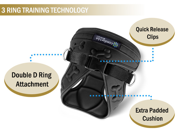 dog harness