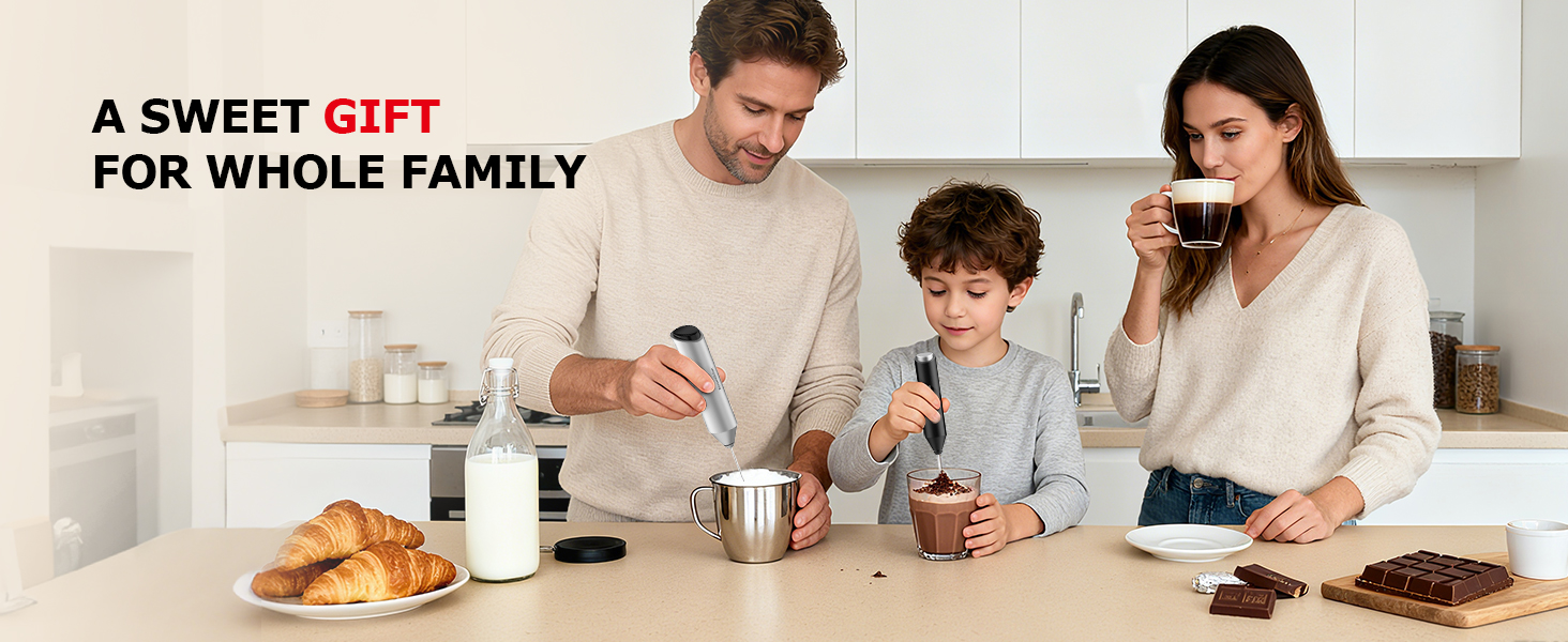 Handheld Milk Frother