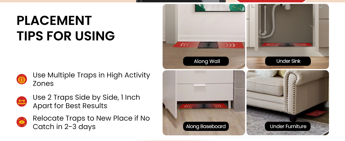 Wowcatch Mouse Glue Traps