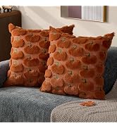 DFXSZ Fall Pillow Covers 18x18 Set of 2 Fall Decorations Autumn Rust Big Pumpkin Throw Pillow Cas...