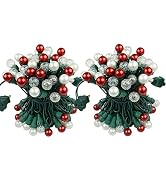 BOHON Christmas Lights Outdoor Pack of 2 Sets 19FT 70 LEDs Multi Color UL Certified Christmas Str...