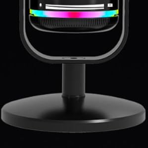 mic