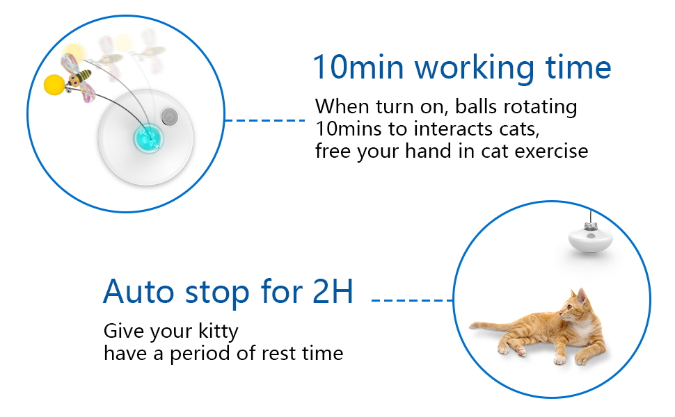 auto cat toy