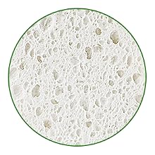 Natural Kitchen Sponge