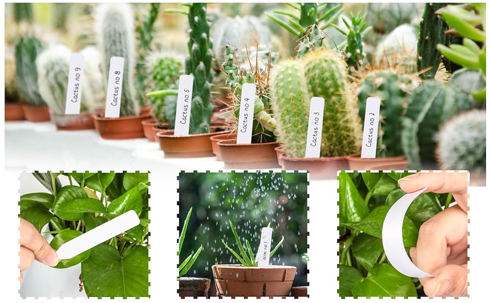 plant labels