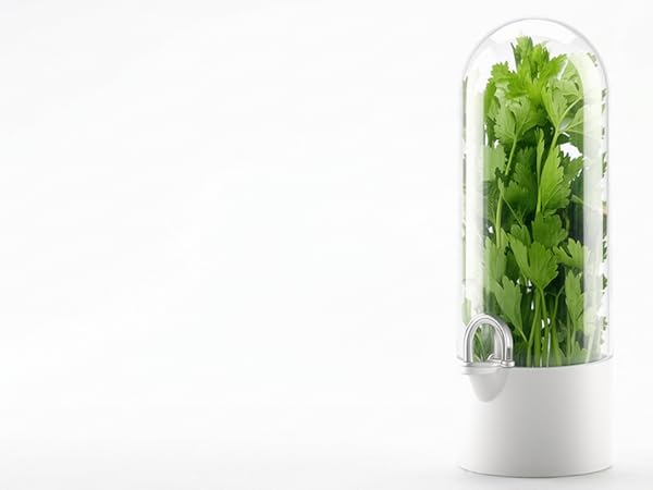 herb saver for refrigerator