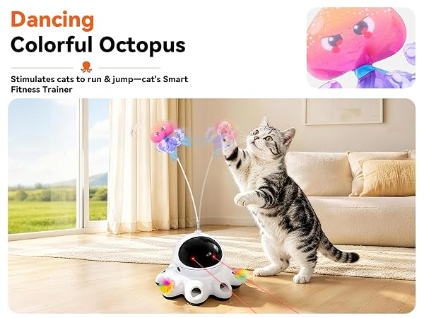 cat toys laser
