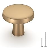 goldenwarm 5 Pack Champagne Bronze Cabinet Knobs for Cabinets and Drawers Knobs for Dresser Drawe...