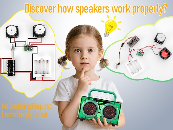 DIY Arylic Speaker
