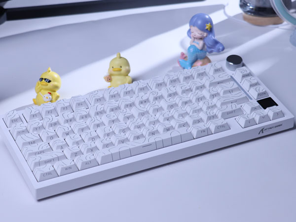 PBT Keycaps Wireless Keyboard