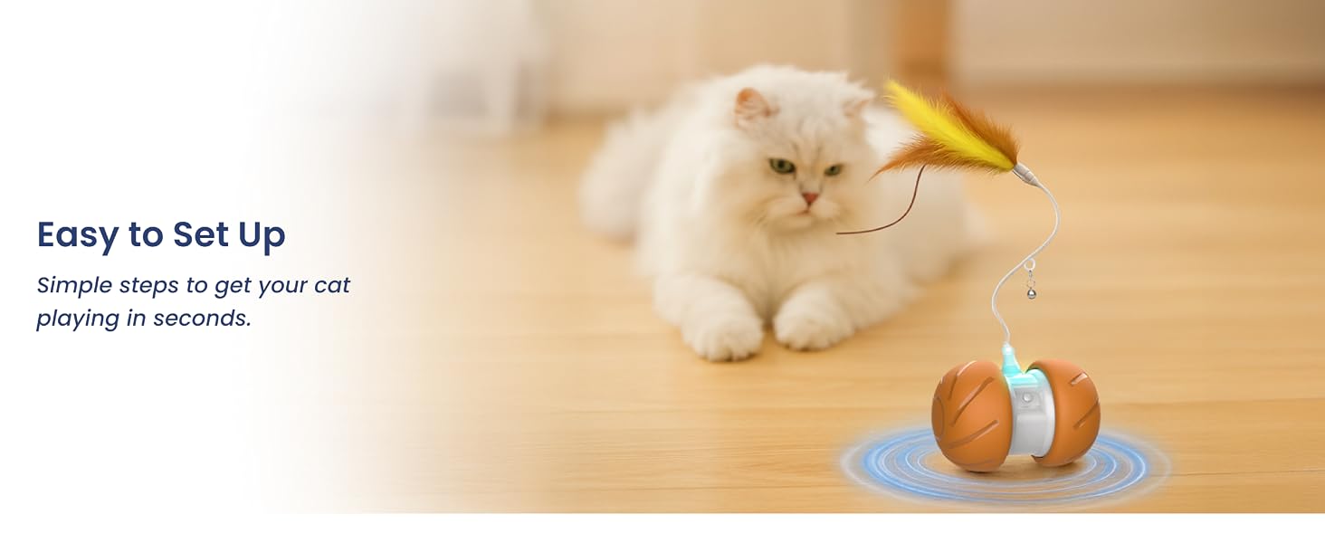 Easy setup cat toy