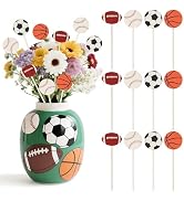 TICIAGA Sports Themed Wooden Floral Picks - 12PCS Double-Sided 4-Design Ball Decorative Sticks,Fo...