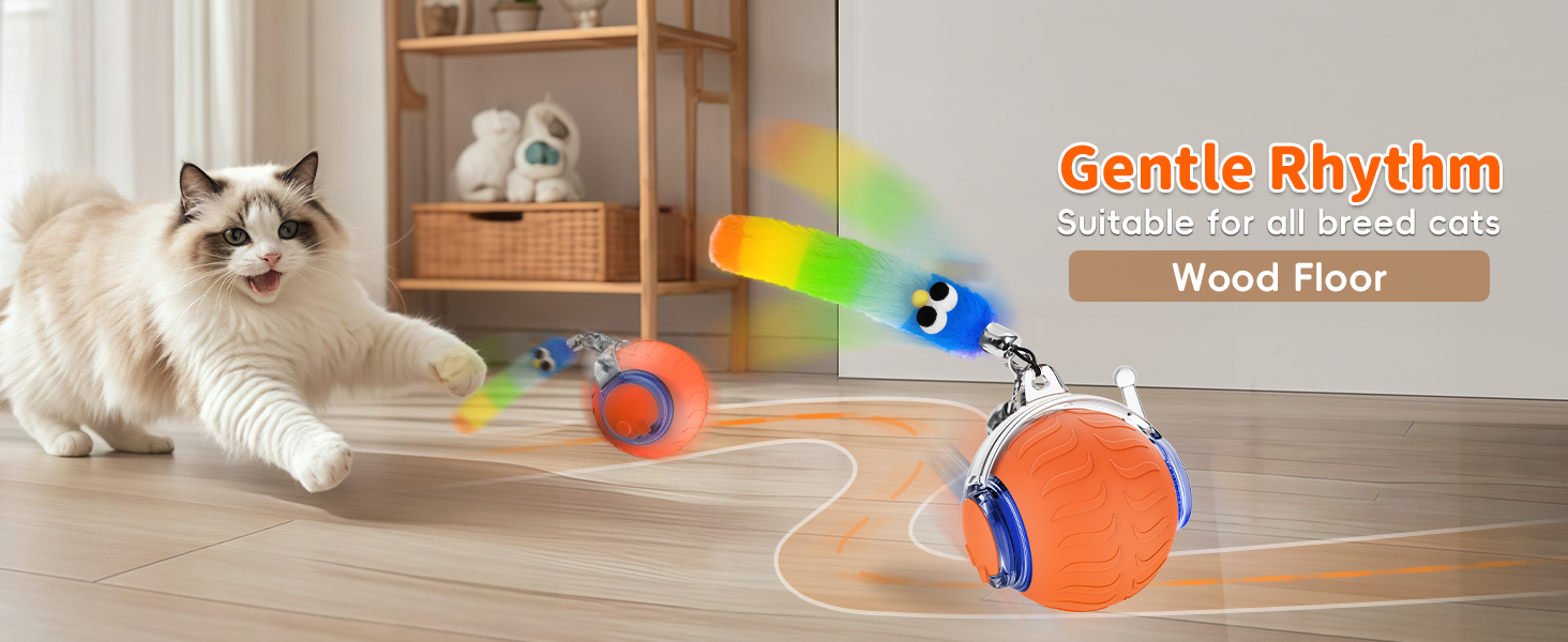 interactive rolling cat toy