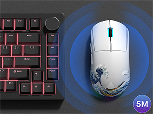 Wide & Stable Connection Range