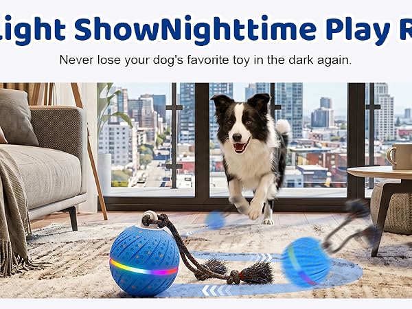 interactive dog toys