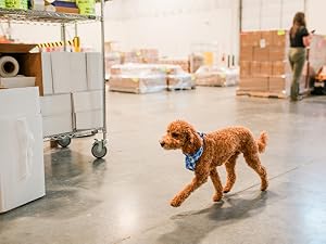 The Wondercide warehouse in Austin, Texas