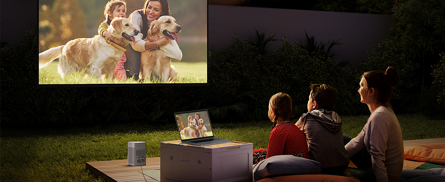 Outdoor movie setup showing people watching projection screen at night, with daytime image of dogs in corner.