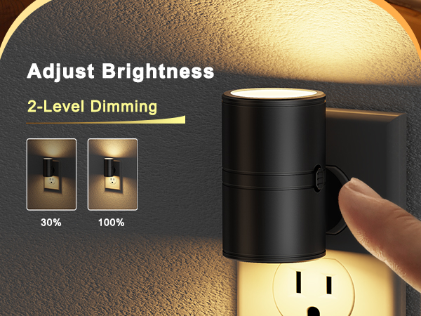 brightness adjustable night light