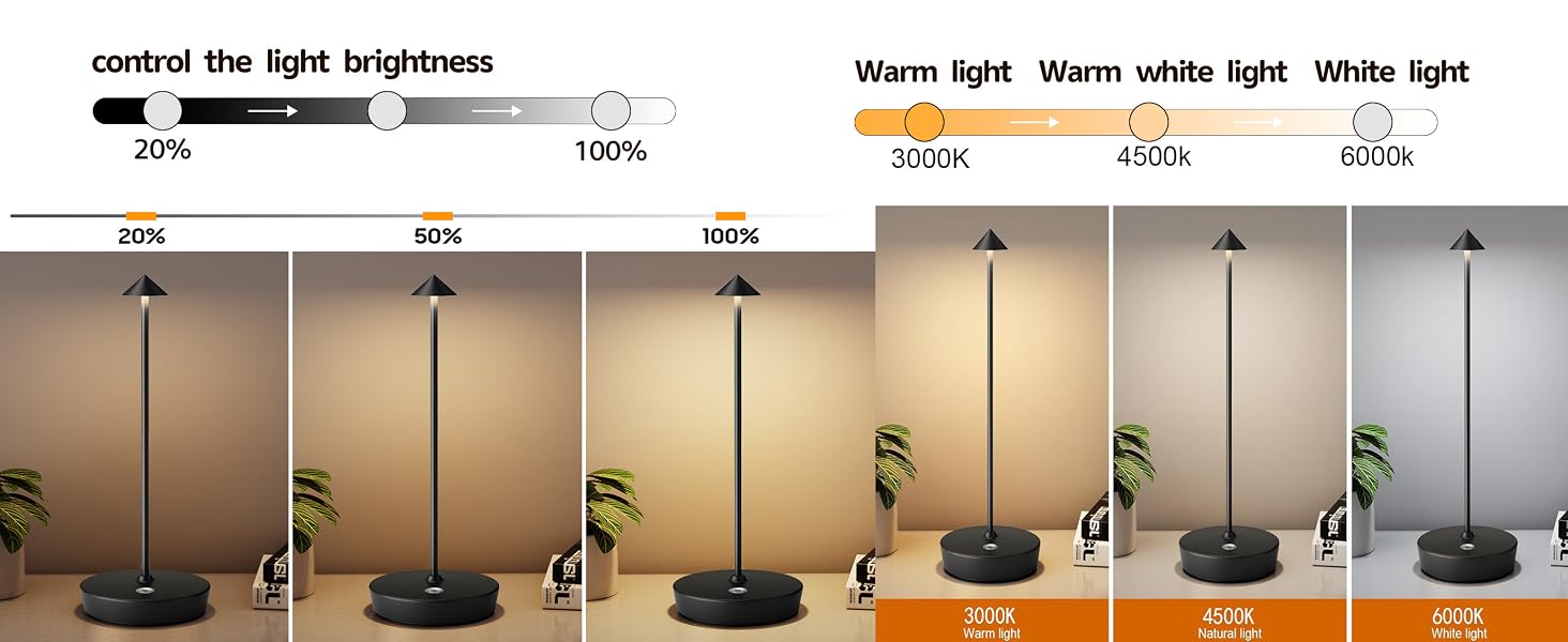 Cordless Table Lamp