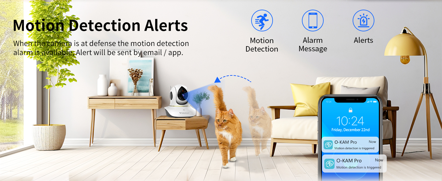 automatic treat dispenser for cats