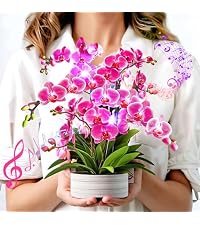 https://m.media-amazon.com/images/I/51r4oIsF4HL.__AC_SR200,225___.jpg