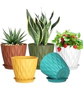Meowell 7 inch Plant Pots for Indoor Outdoor Plants, 5 Pack Thick Nursery Pots with Drainage Hole...