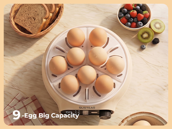 egg boiler for hard boiled eggs