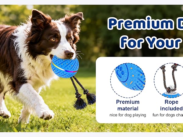 interactive dog toys
