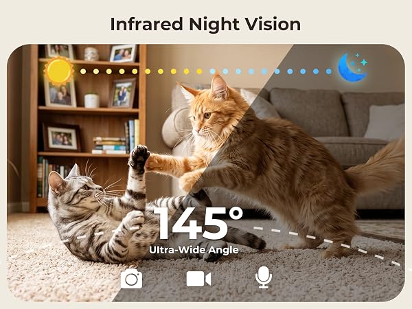automatic cat feeder