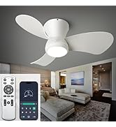 ducrew 24 Inch Flush Mount Ceiling Fans with Lights, High Airflow Remote/APP Control, 3CCT Dimmab...