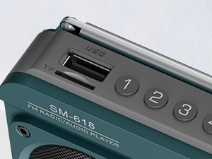 FM Bluetooth Speaker