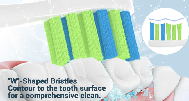 "W"-Shaped Bristles Contour to the tooth surface for a comprehensive clean.